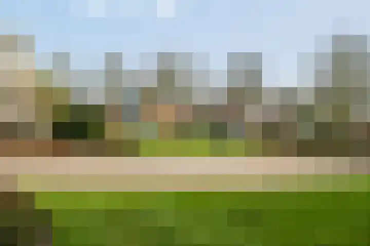 Goudreinet 75 Huissen thumbnail 33
