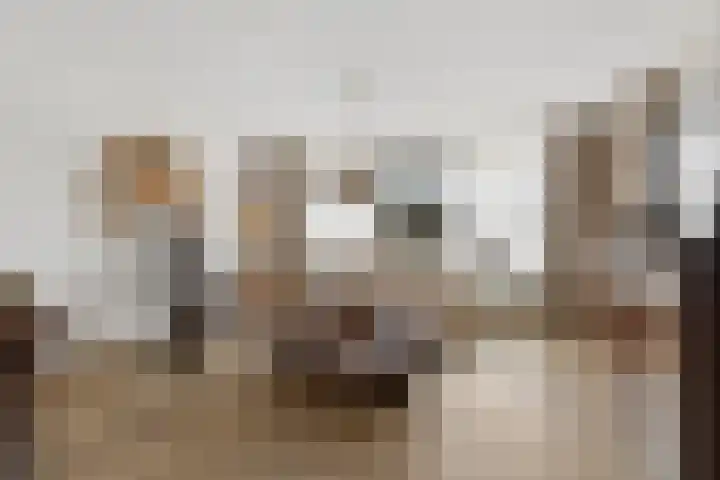 Goudreinet 75 Huissen thumbnail 5