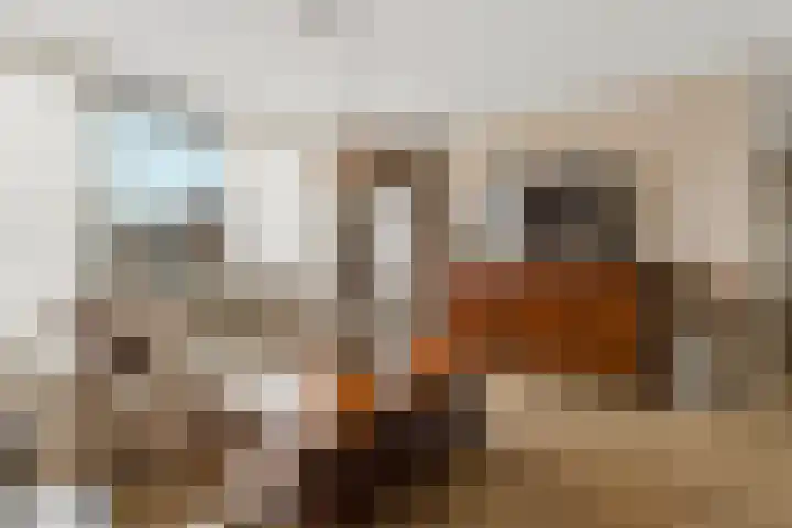 Goudreinet 75 Huissen thumbnail 6