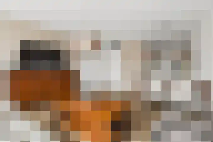 Goudreinet 75 Huissen thumbnail 7