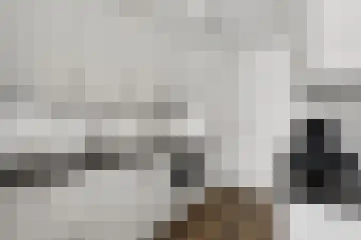 Goudreinet 75 Huissen thumbnail 9