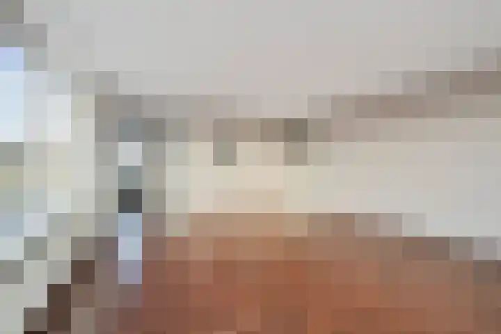 Goudreinet 79 Huissen thumbnail 10