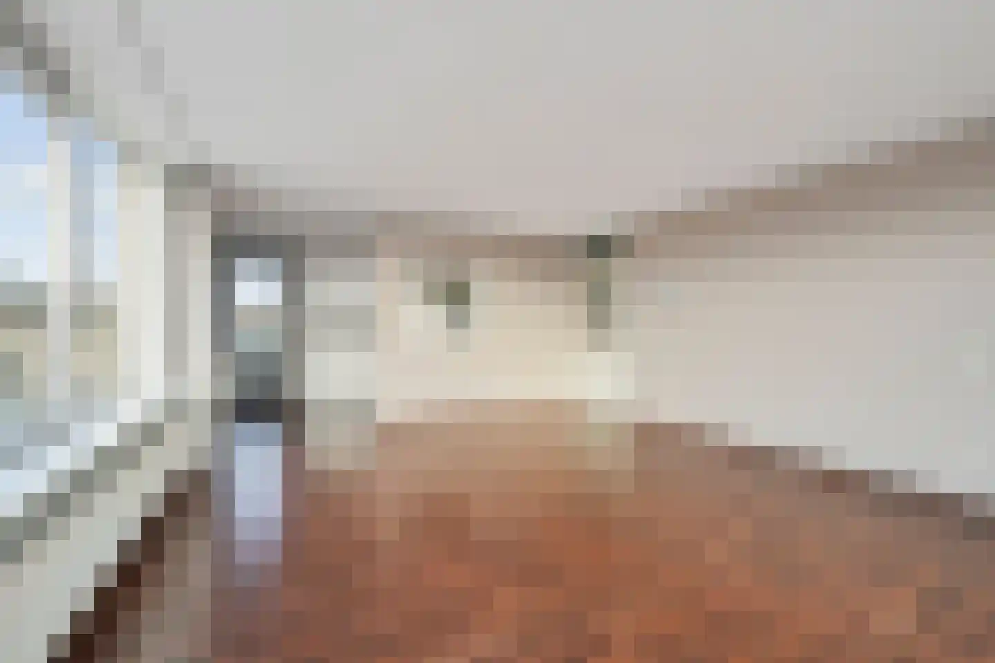 Goudreinet 79 Huissen thumbnail 10