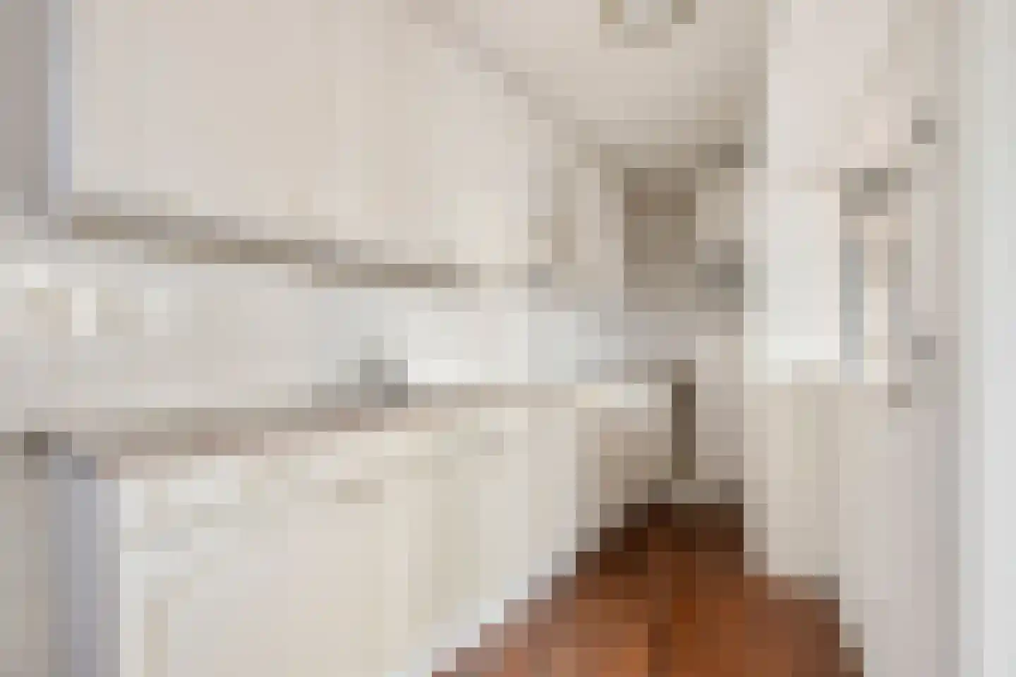 Goudreinet 79 Huissen thumbnail 11