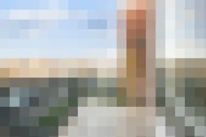 Goudreinet 79 Huissen thumbnail 12