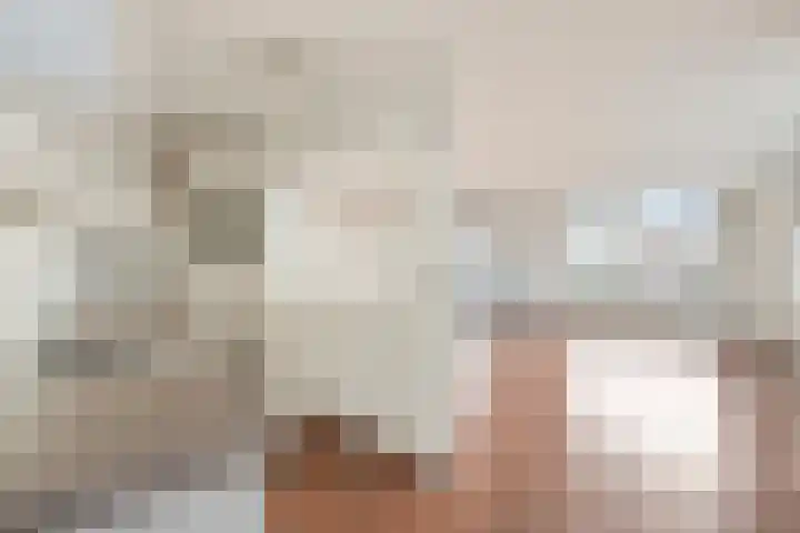 Goudreinet 79 Huissen thumbnail 13