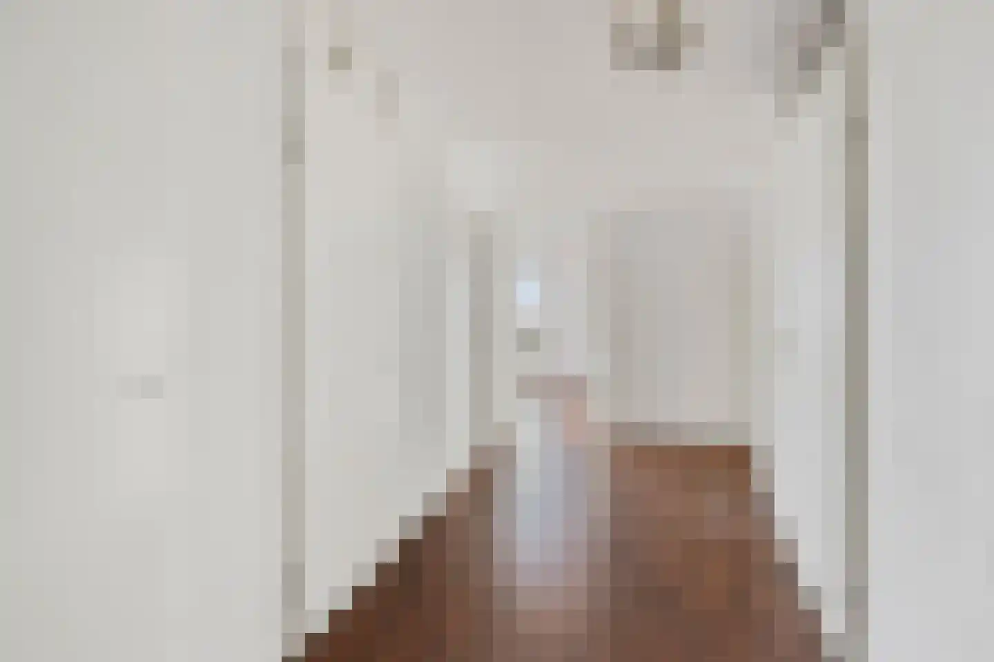 Goudreinet 79 Huissen thumbnail 15