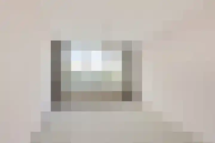 Goudreinet 79 Huissen thumbnail 16