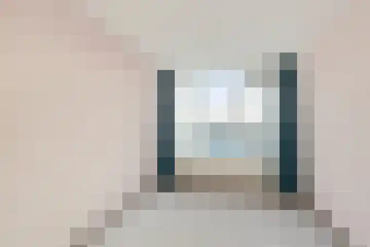 Goudreinet 79 Huissen thumbnail 17