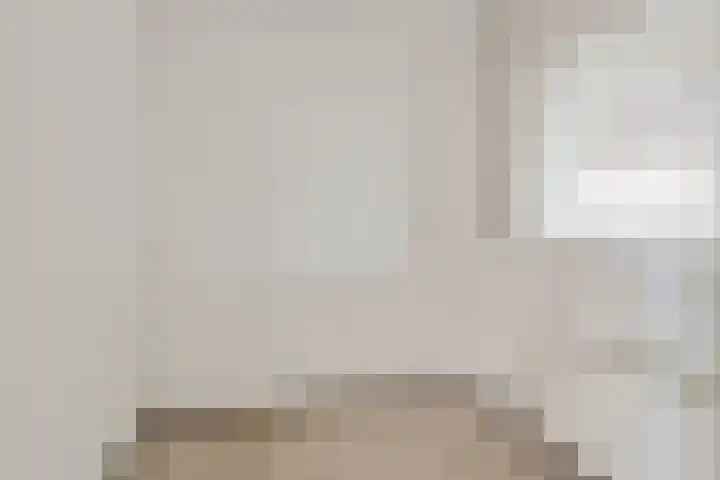 Goudreinet 79 Huissen thumbnail 18