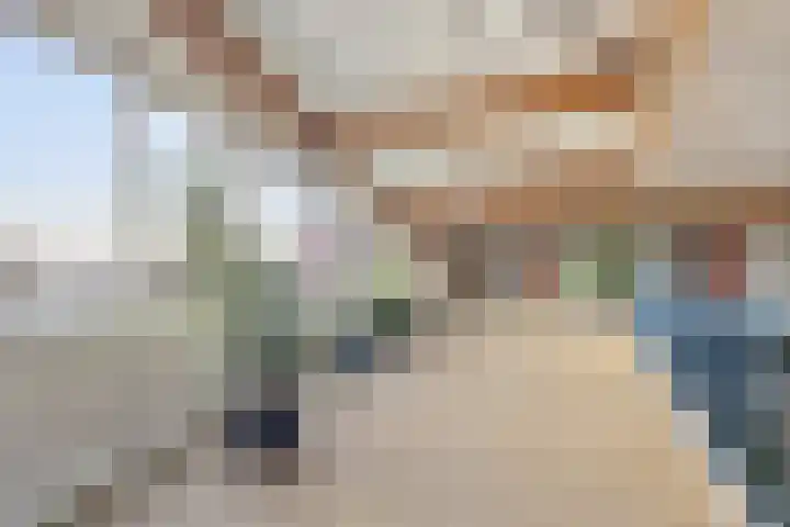 Goudreinet 79 Huissen thumbnail 20