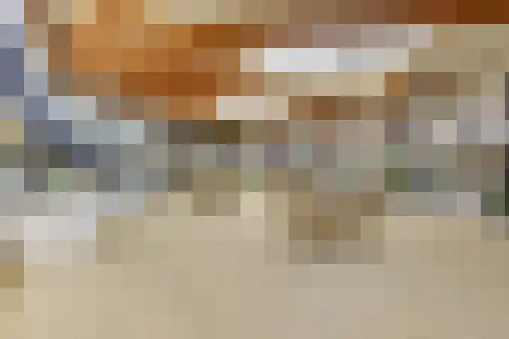 Goudreinet 79 Huissen thumbnail 22