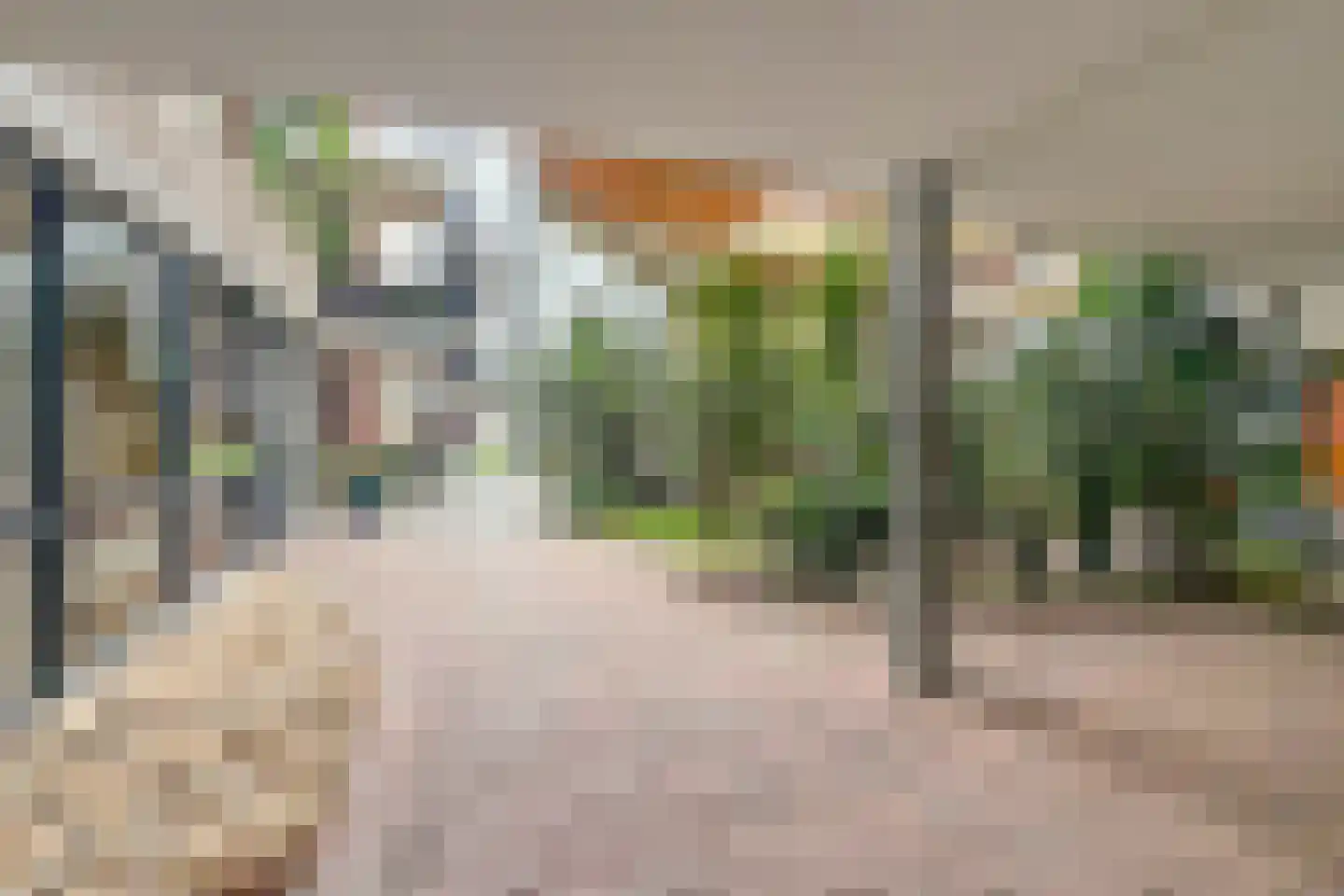 Goudreinet 79 Huissen thumbnail 23