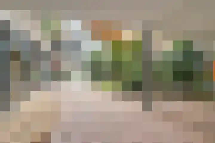 Goudreinet 79 Huissen thumbnail 23