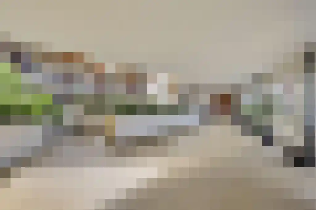 Goudreinet 79 Huissen thumbnail 24