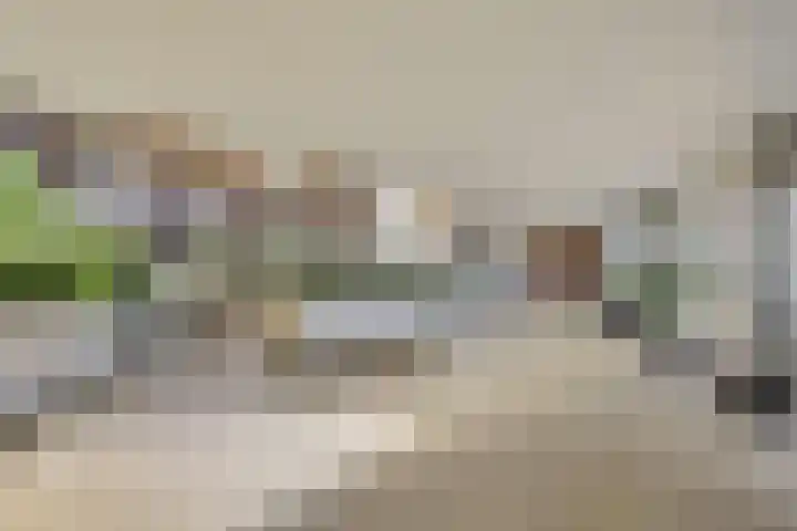 Goudreinet 79 Huissen thumbnail 24