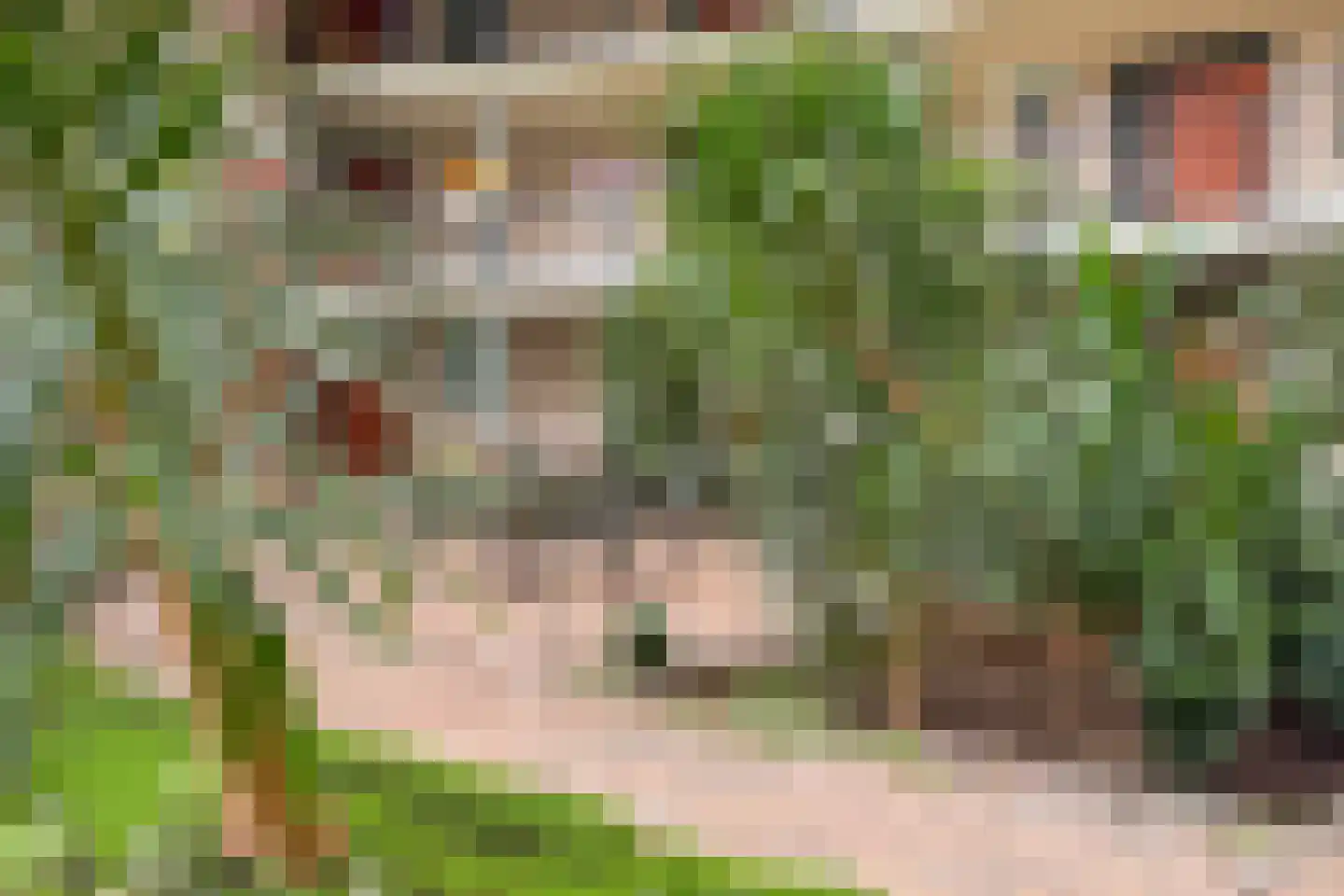 Goudreinet 79 Huissen thumbnail 25