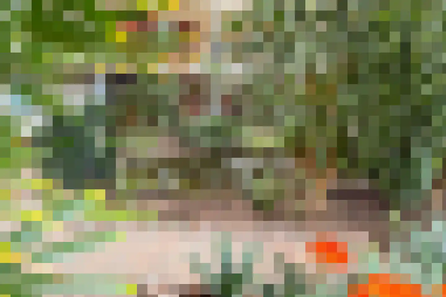 Goudreinet 79 Huissen thumbnail 26
