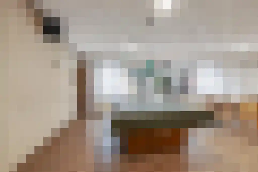Goudreinet 79 Huissen thumbnail 27