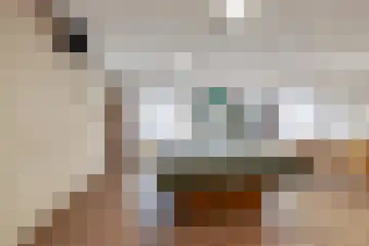 Goudreinet 79 Huissen thumbnail 27