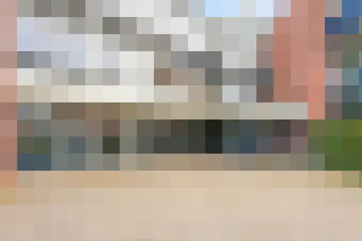 Goudreinet 79 Huissen thumbnail 28