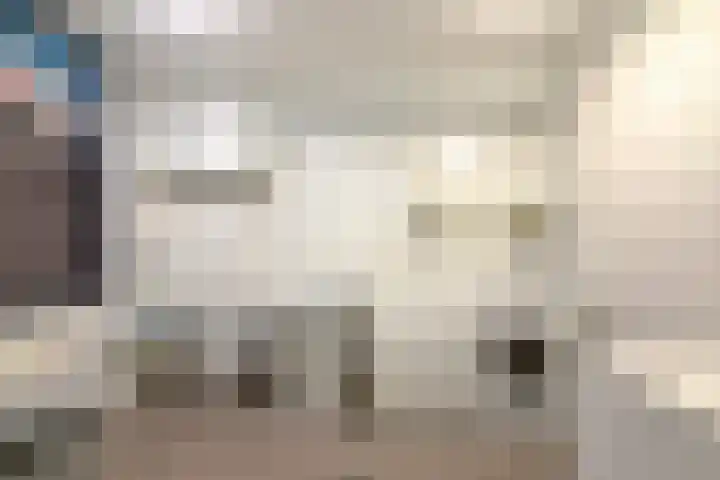 Goudreinet 79 Huissen thumbnail 30