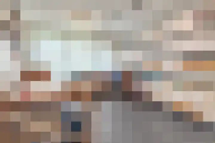 Goudreinet 79 Huissen thumbnail 31