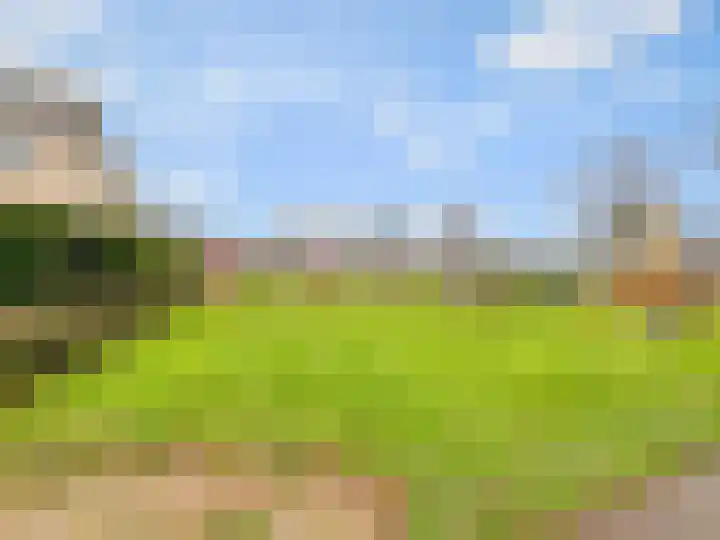 Goudreinet 79 Huissen thumbnail 32