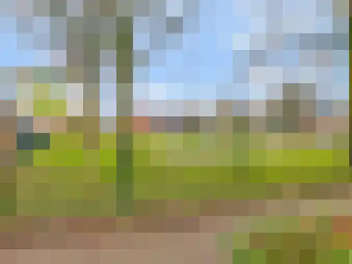Goudreinet 79 Huissen thumbnail 33