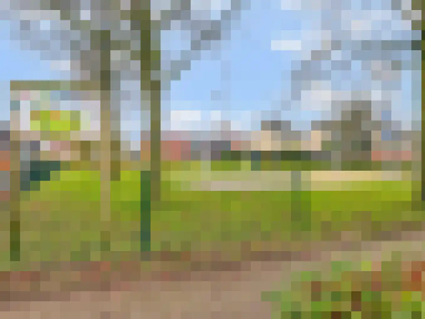 Goudreinet 79 Huissen thumbnail 33