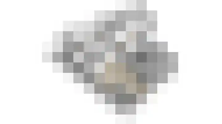 Goudreinet 79 Huissen thumbnail 36