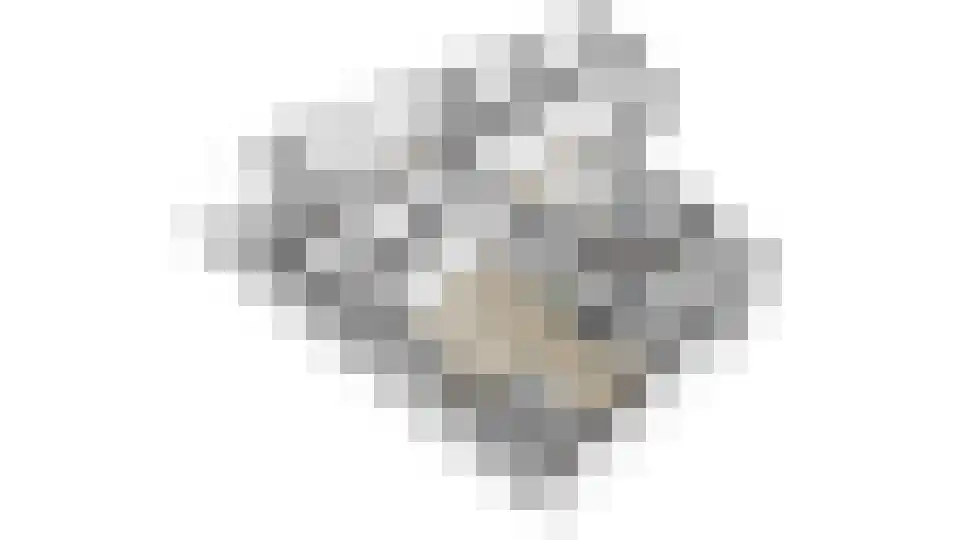 Goudreinet 79 Huissen thumbnail 36