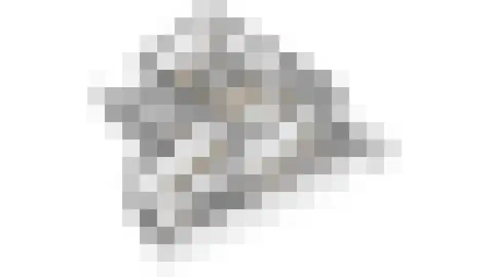 Goudreinet 79 Huissen thumbnail 37