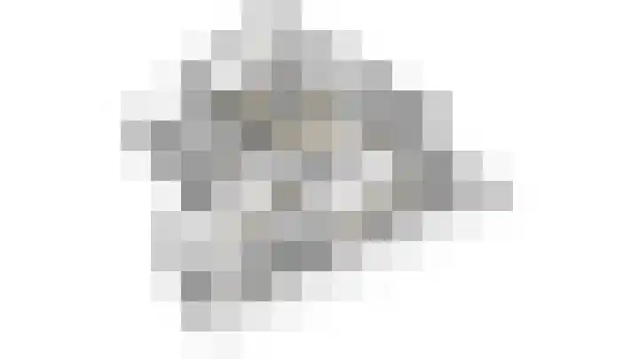Goudreinet 79 Huissen thumbnail 37