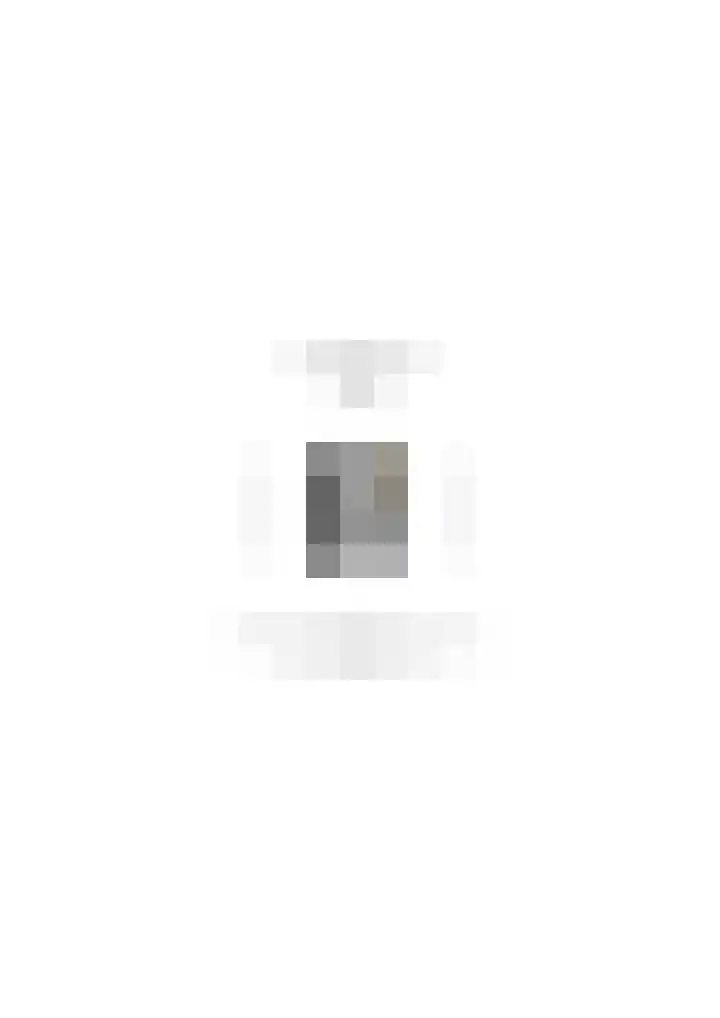 Goudreinet 79 Huissen thumbnail 38