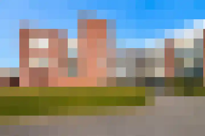 Goudreinet 79 Huissen thumbnail 4