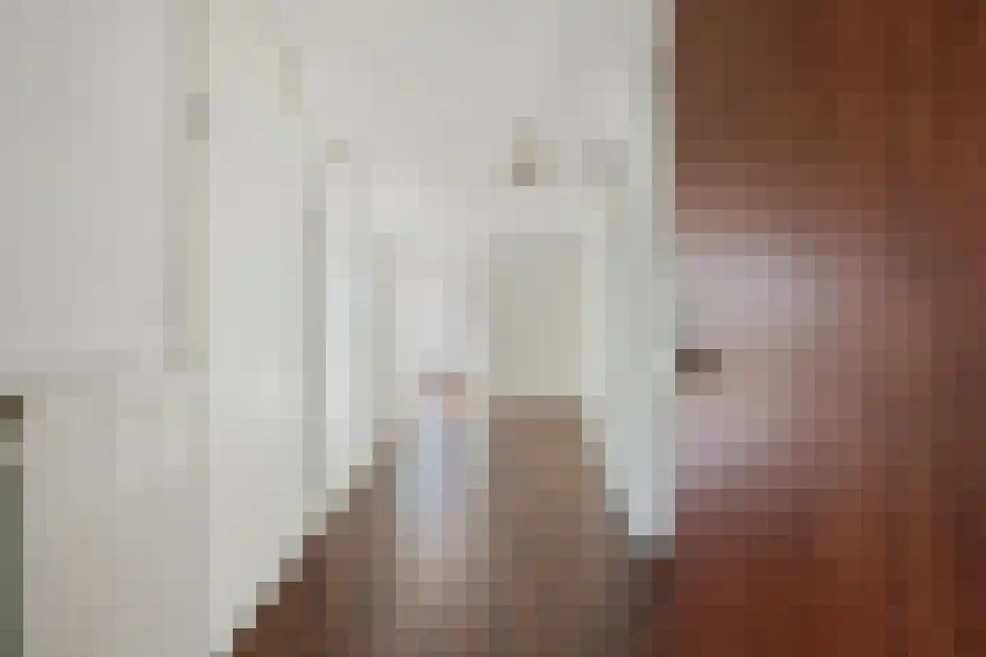 Goudreinet 79 Huissen thumbnail 5