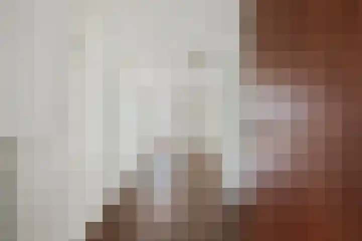 Goudreinet 79 Huissen thumbnail 5