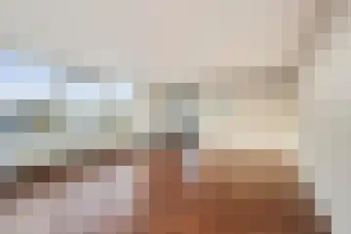 Goudreinet 79 Huissen thumbnail 6