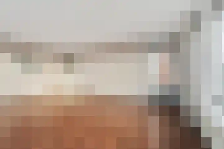 Goudreinet 79 Huissen thumbnail 8