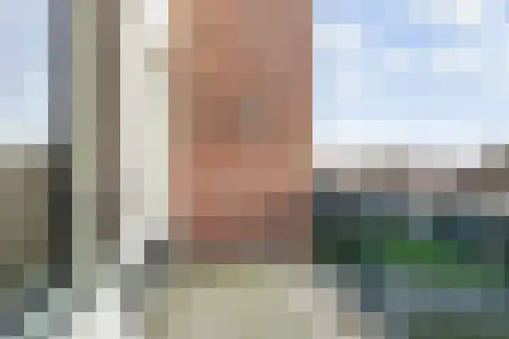 Goudreinet 79 Huissen thumbnail 9