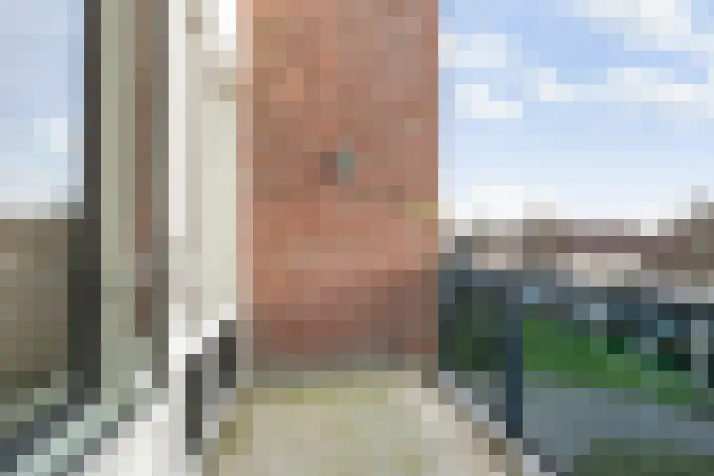 Goudreinet 79 Huissen thumbnail 9
