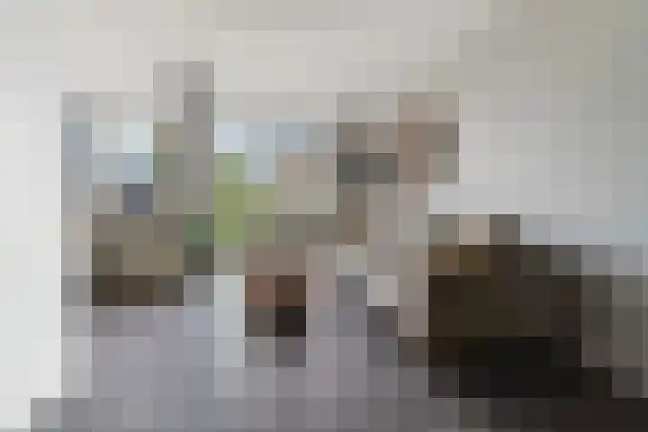 Goudreinet 9 Dodewaard thumbnail 10