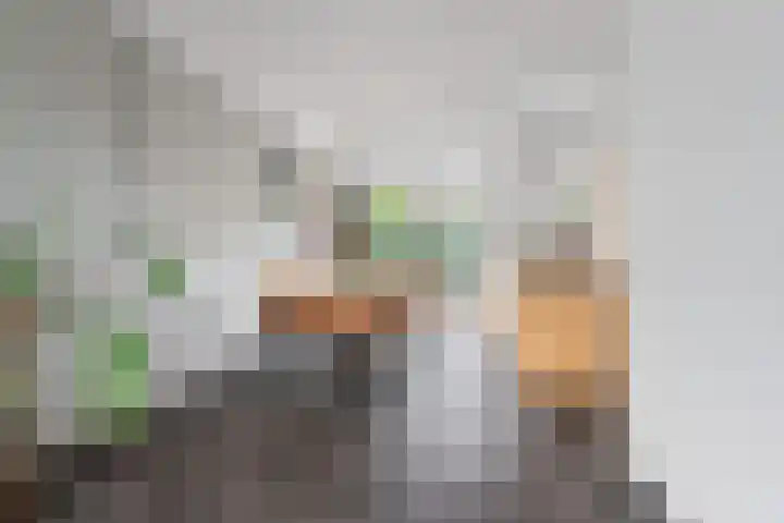 Goudreinet 9 Dodewaard thumbnail 13