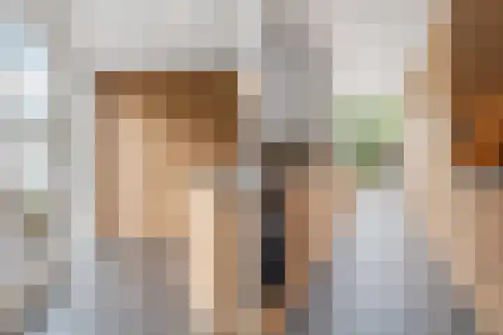 Goudreinet 9 Dodewaard thumbnail 22