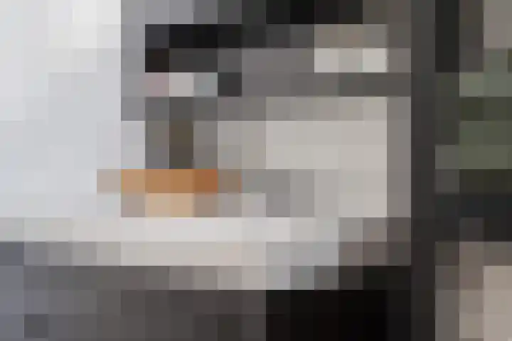 Goudreinet 9 Dodewaard thumbnail 36