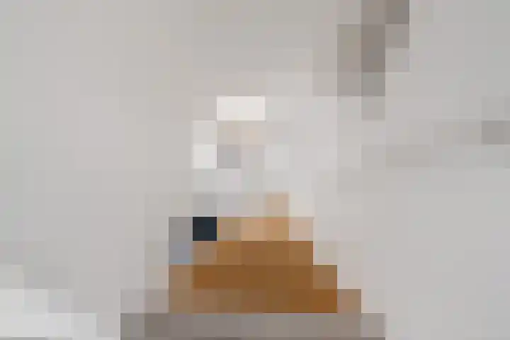Goudreinet 9 Dodewaard thumbnail 43