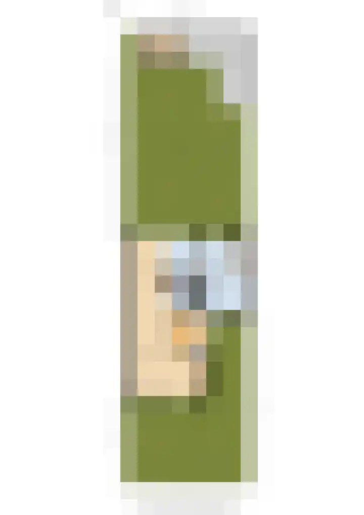 Goudreinet 9 Dodewaard thumbnail 44