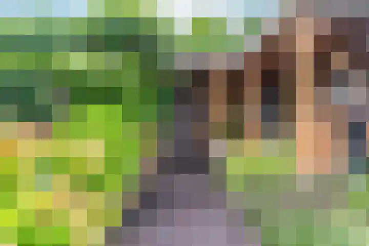 Goudreinet 9 Dodewaard thumbnail 49
