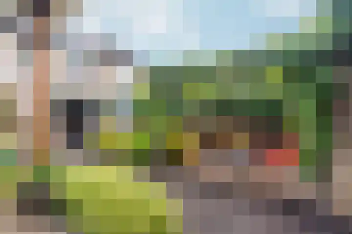 Goudreinet 9 Dodewaard thumbnail 52